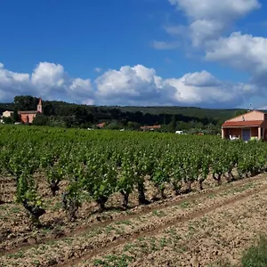 https://gite-au-milieu-des-vignes.fr-provencehotel.com